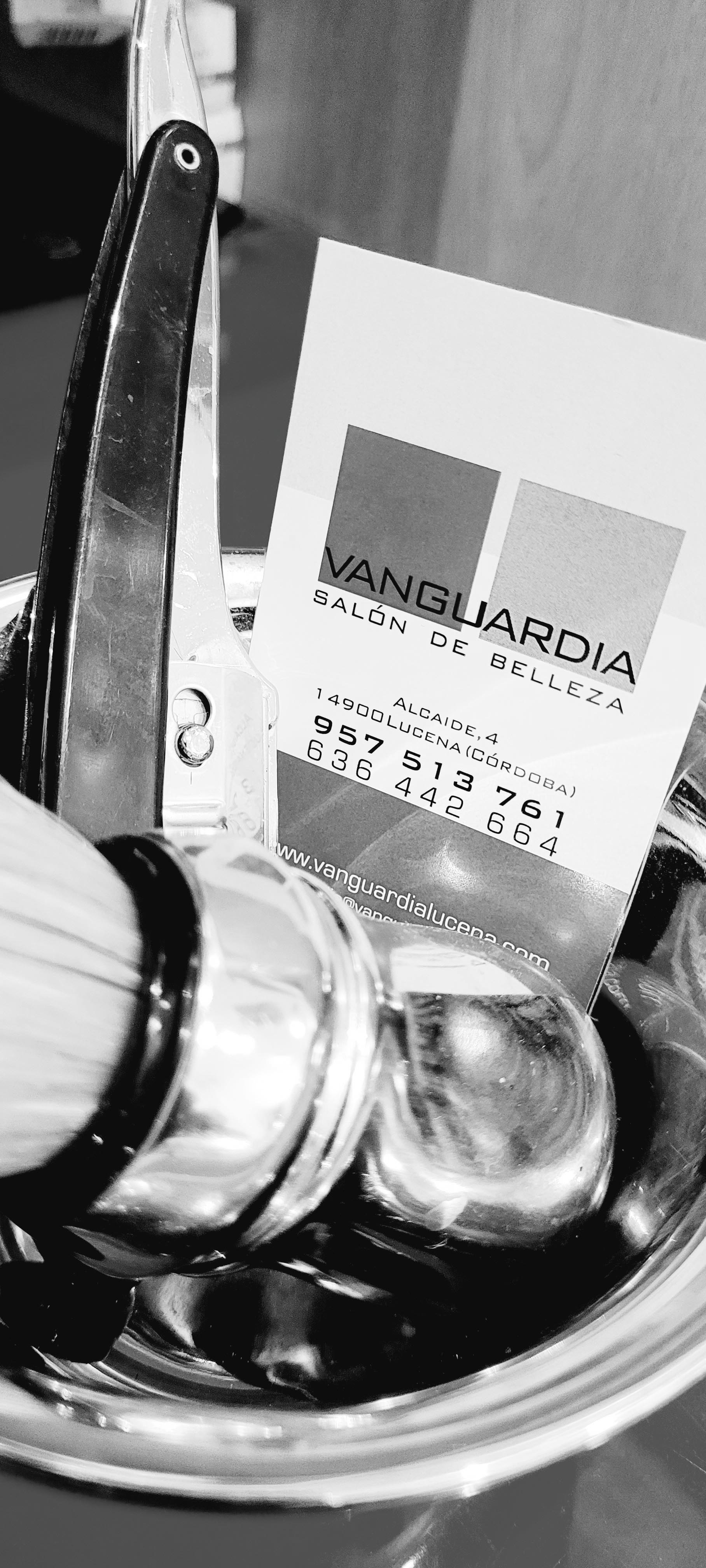 brocha  tarjetra  bn